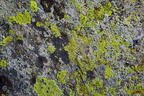 5DII-8179