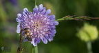 Eos5DII-5873