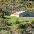 IMG 0706